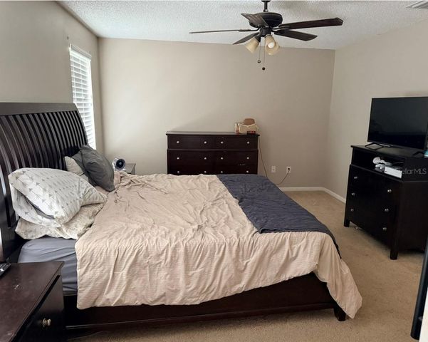 4303 ELLENVILLE PLACE, Valrico, FL 33596