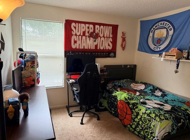4303 ELLENVILLE PLACE, Valrico, FL 33596