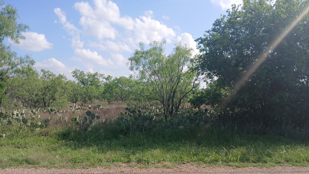 Image 11 of property listing at 604 Church Street, Miles, TX 76861