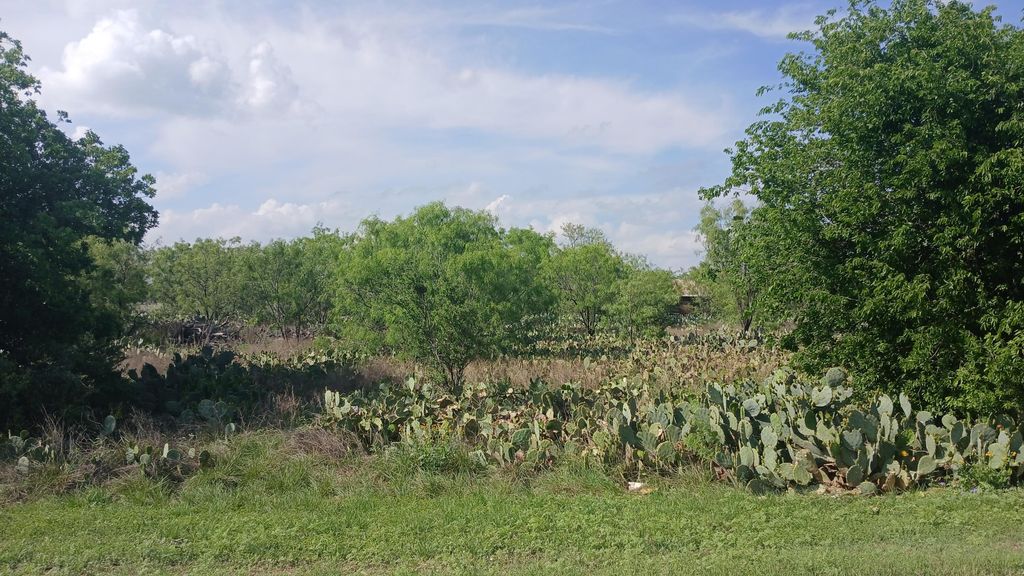 Image 2 of property listing at 604 Church Street, Miles, TX 76861