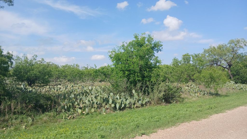 Image 3 of property listing at 604 Church Street, Miles, TX 76861