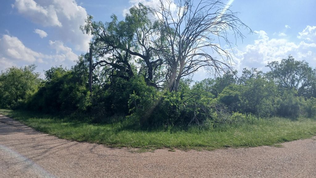 Image 8 of property listing at 604 Church Street, Miles, TX 76861