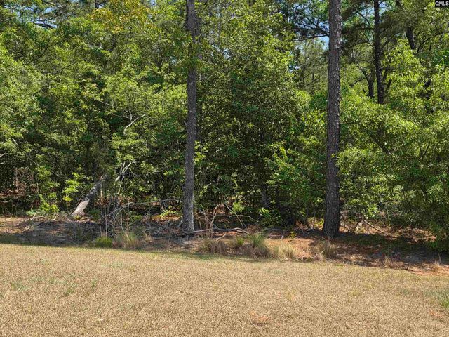 312 Reedmace Court, Lexington, SC 29072