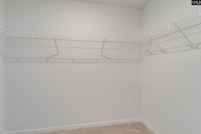 312 Reedmace Court, Lexington, SC 29072