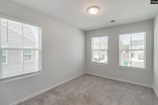 312 Reedmace Court, Lexington, SC 29072