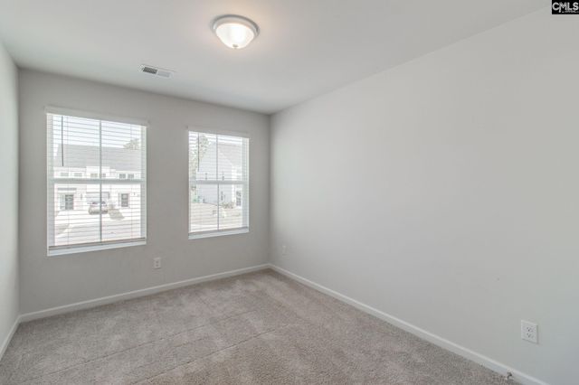 312 Reedmace Court, Lexington, SC 29072