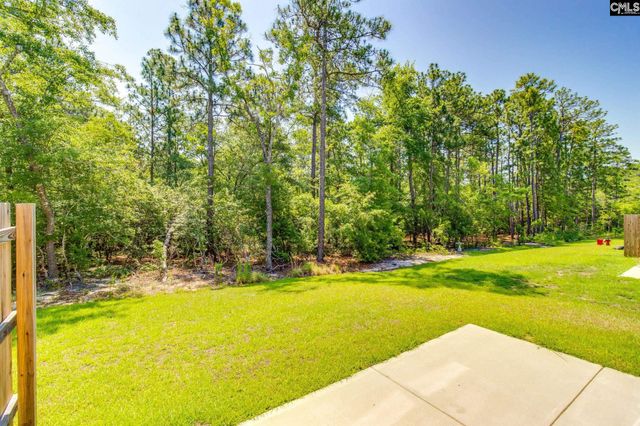 312 Reedmace Court, Lexington, SC 29072