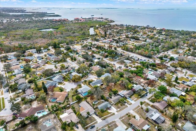 1315 GULFVIEW WOODS LANE, Tarpon Springs, FL 34689