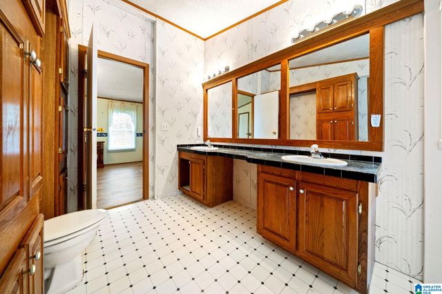 9977 CLAIRMONT SPRINGS ROAD, Lineville, AL 36266