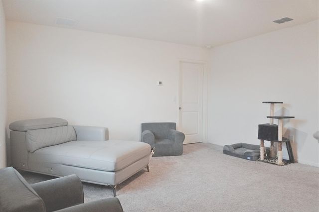 313 Magnum Force DR, Jarrell, TX 76537