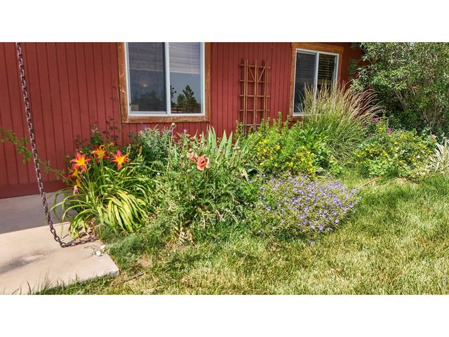 620 W County Road 74, Wellington, CO 80549