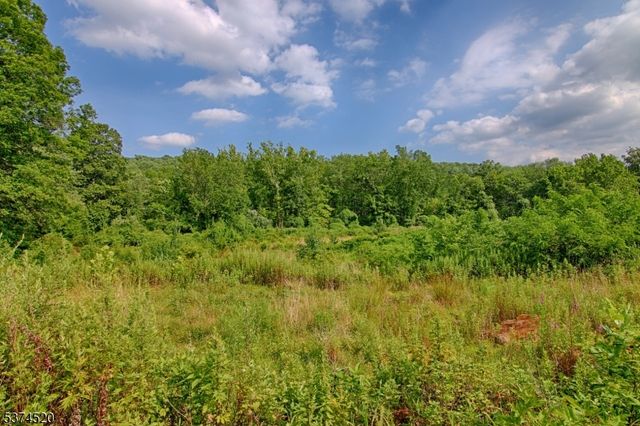 496 Mine Brook Rd, Bernardsville Boro, NJ 07924