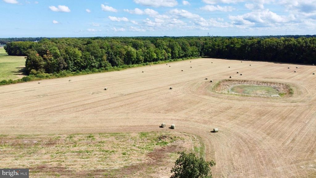 LOT 4 HOPKINS CEMETERY RD, Harrington, DE 19952