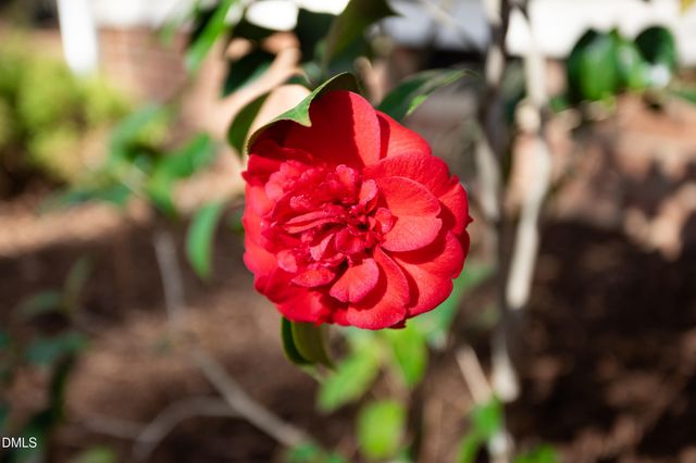 4122 Westfield Drive, Durham, NC 27705