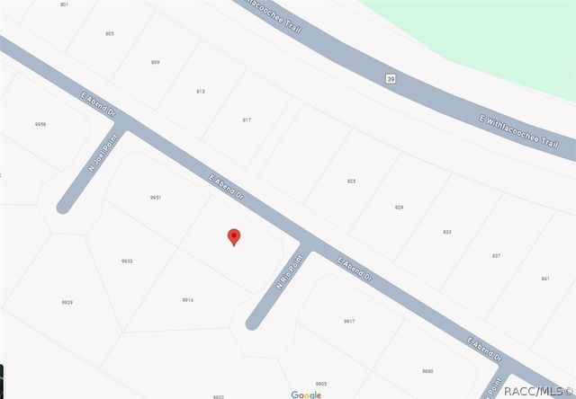 9920 N Rio Point, Citrus Springs, FL 34434