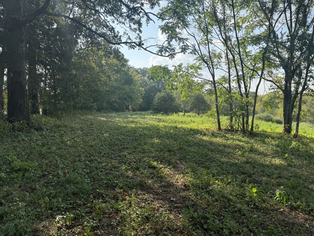 7432 Midland Rd, Christiana, TN 37037