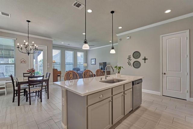 9816 Sweet Flag Court, Conroe, TX 77385
