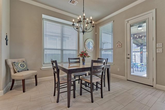 9816 Sweet Flag Court, Conroe, TX 77385