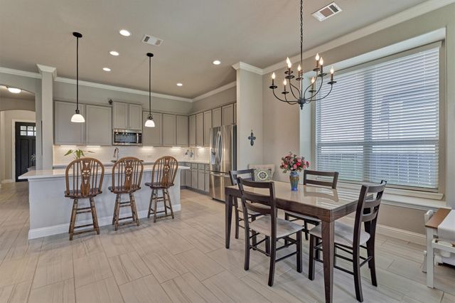9816 Sweet Flag Court, Conroe, TX 77385