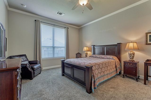9816 Sweet Flag Court, Conroe, TX 77385