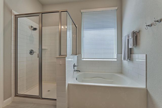 9816 Sweet Flag Court, Conroe, TX 77385