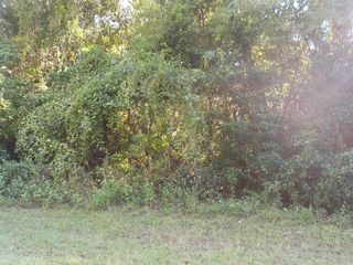 11641 N KENLAKE CIRCLE, Citrus Springs, FL 34434