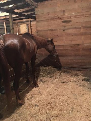 2324 E Cherokee Drive, Woodstock, GA 30188