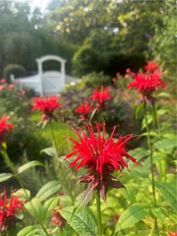 2324 E Cherokee Drive, Woodstock, GA 30188