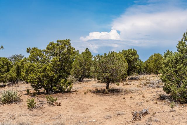 56 Paseo Del Coyote, Santa Fe, NM 87506