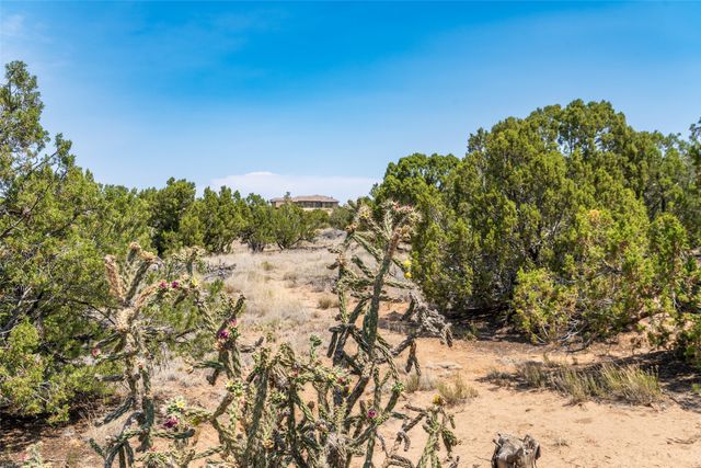 56 Paseo Del Coyote, Santa Fe, NM 87506
