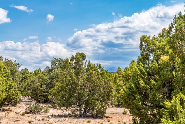 56 Paseo Del Coyote, Santa Fe, NM 87506