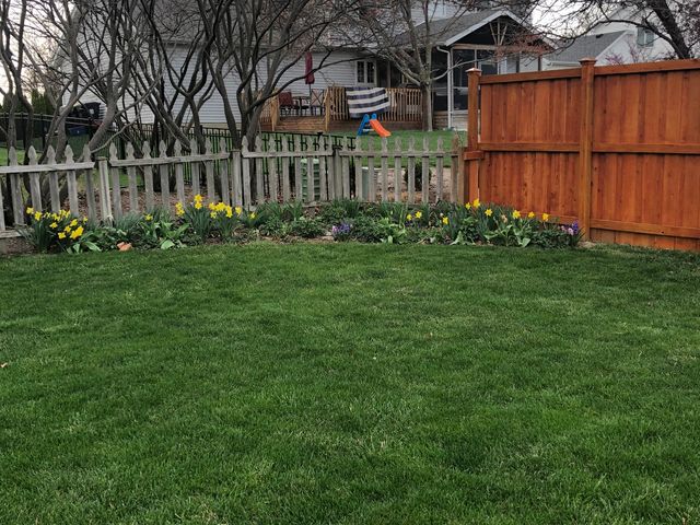 307 N Cottage Avenue, Normal, IL 61761