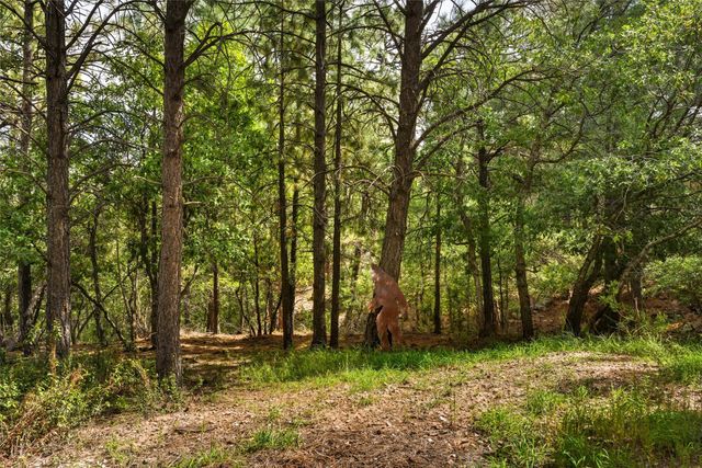 10 Terry Lane, Los Alamos, NM 87544