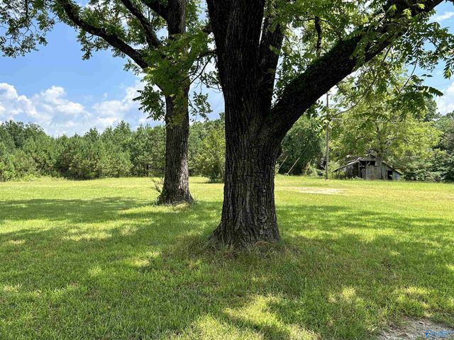 130 County Road 738, Cedar Bluff, AL 35959