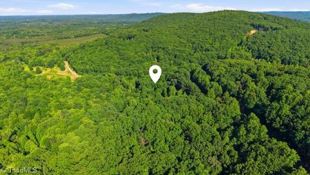 1784 Snowberry Trail, Sophia, NC 27350