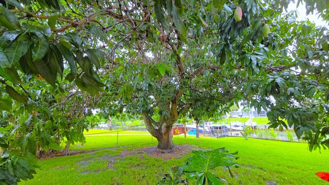 147 NE Naranja Avenue, Port St. Lucie, Port St Lucie, FL 34983
