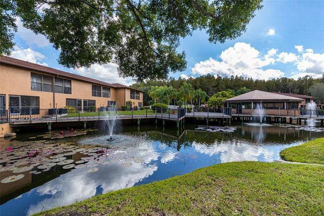 14810 PAR CLUB CIRCLE, Tampa, FL 33618