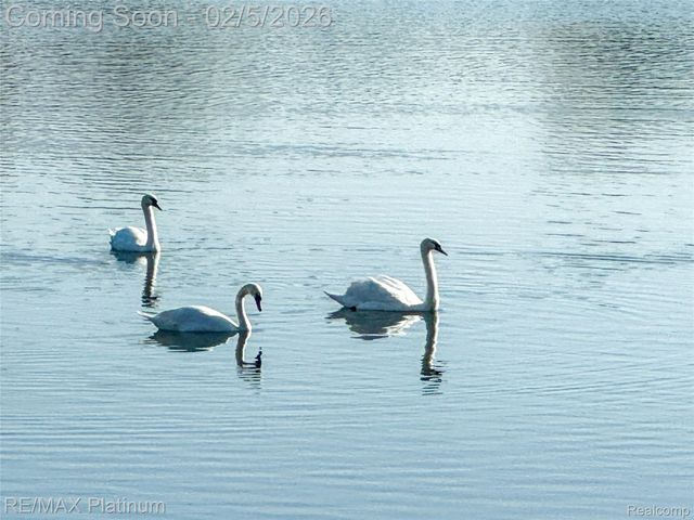 5612 Bullard Road, Hartland Township, MI 48430