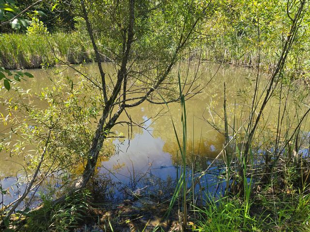 3201 Harp Pike, Frankfort, KY 40601