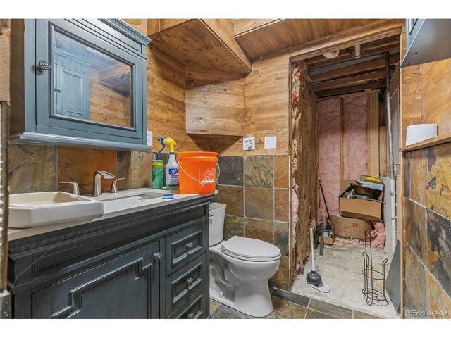 283 Foxtail Dr, Black Hawk, CO 80422