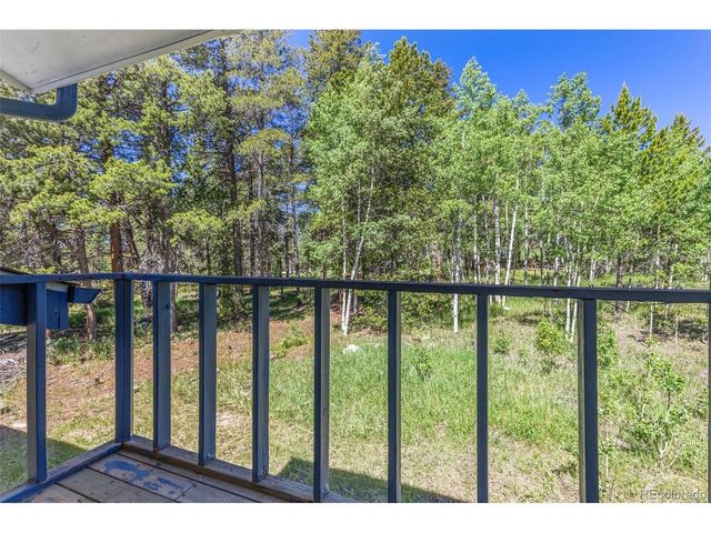 283 Foxtail Dr, Black Hawk, CO 80422