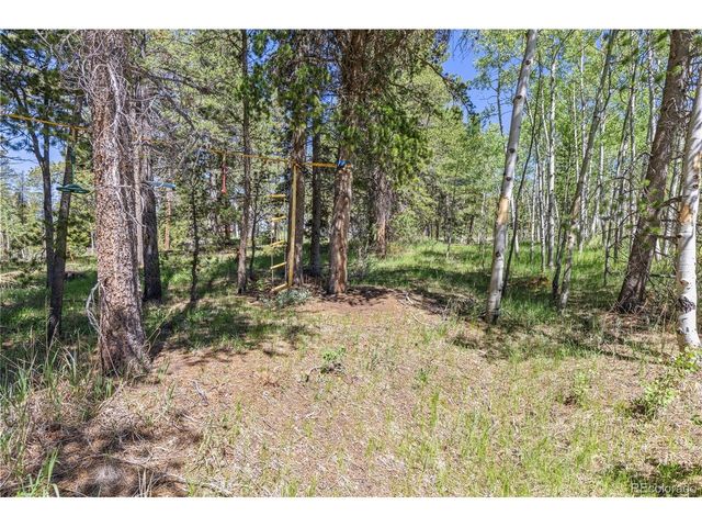 283 Foxtail Dr, Black Hawk, CO 80422