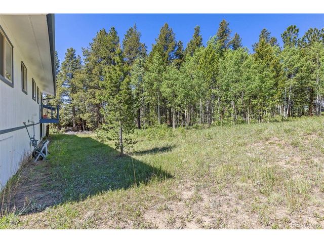 283 Foxtail Dr, Black Hawk, CO 80422