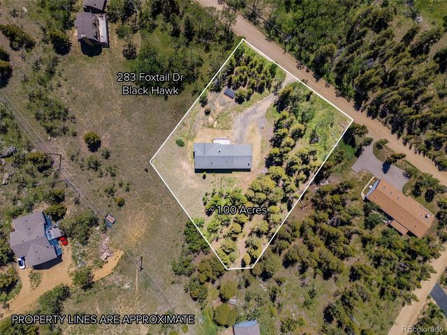 283 Foxtail Dr, Black Hawk, CO 80422