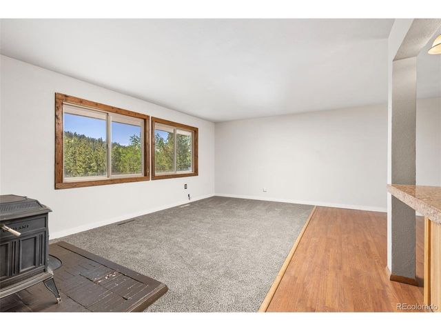 283 Foxtail Dr, Black Hawk, CO 80422