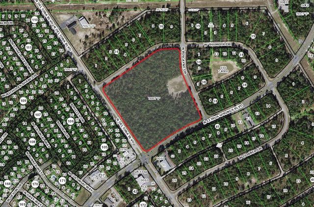 9719 N DELTONA BOULEVARD, Citrus Springs, FL 34434