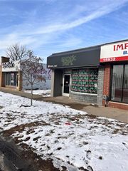 15934 W Mcnichols Road, Detroit, MI 48235