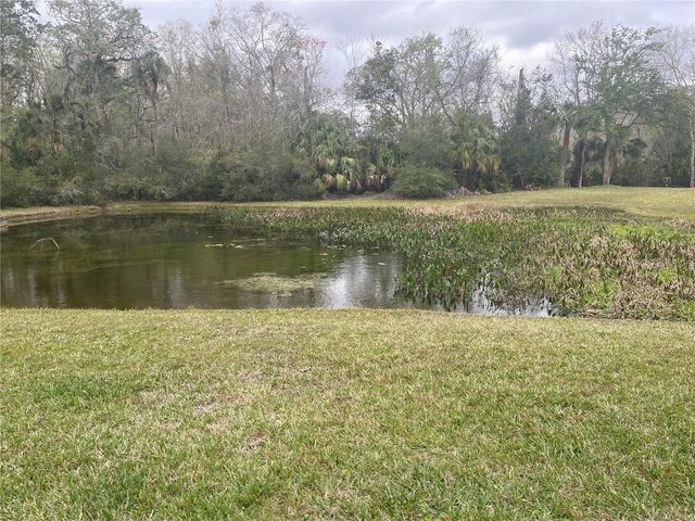 4153 WINDING RIVER WAY, Land O Lakes, FL 34639
