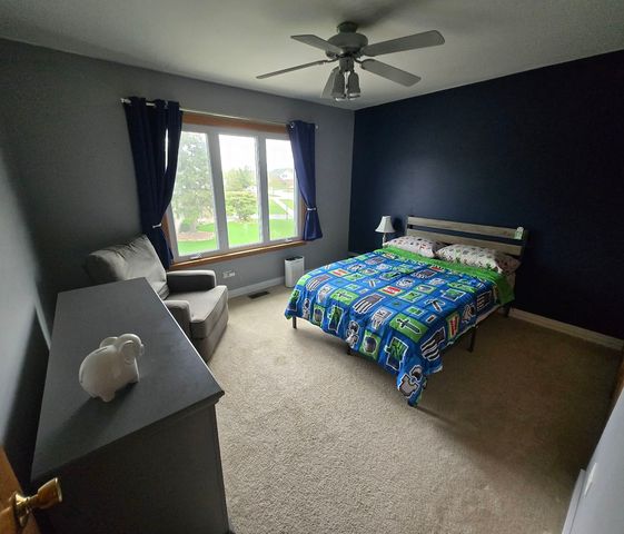 8141 W Old Mill Road, Frankfort, IL 60423