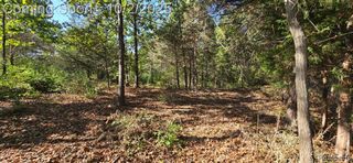 0 Hinchey Road, Pinckney, MI 48169